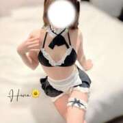ヒメ日記 2026/03/22 11:08 投稿 ひな 9/4体験入店!!! Office Love　町田店（Loveグループ）