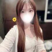 ヒメ日記 2026/09/01 14:08 投稿 ひな 9/4体験入店!!! Office Love　町田店（Loveグループ）