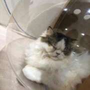 ヒメ日記 2025/09/13 14:42 投稿 恋白【コハク】 ピンクコレクション尼崎店