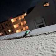 ヒメ日記 2025/09/10 22:32 投稿 ひさめ 横浜Cute