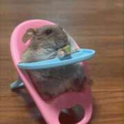 ヒメ日記 2025/09/21 11:37 投稿 ひさめ 横浜Cute