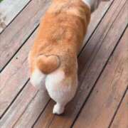 ヒメ日記 2025/09/21 20:33 投稿 ひさめ 横浜Cute