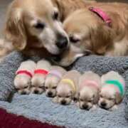 ヒメ日記 2025/09/22 11:25 投稿 ひさめ 横浜Cute