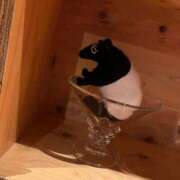 ヒメ日記 2025/09/13 09:26 投稿 さや 美女のカタチ