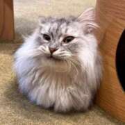 ヒメ日記 2025/09/15 11:46 投稿 さや 美女のカタチ