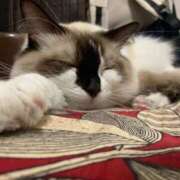 ヒメ日記 2025/10/08 19:20 投稿 YOU～ピュアな新入性～ グッドスマイル