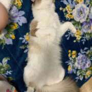 ヒメ日記 2025/10/24 11:03 投稿 YOU～ピュアな新入性～ グッドスマイル