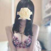 ヒメ日記 2025/09/16 12:44 投稿 のい JDリフレ