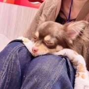 ヒメ日記 2026/01/05 10:04 投稿 おと JDリフレ