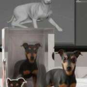 ヒメ日記 2025/09/07 16:15 投稿 あおい JDリフレ