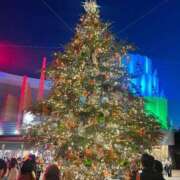 ヒメ日記 2025/12/19 10:24 投稿 あおい JDリフレ