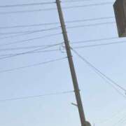 ヒメ日記 2026/03/05 09:55 投稿 ゆめは 西船人妻花壇