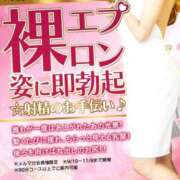 ヒメ日記 2025/09/13 13:47 投稿 みほ One More 奥様　五反田店