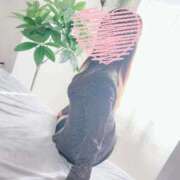 ヒメ日記 2025/09/29 10:07 投稿 みほ One More 奥様　五反田店