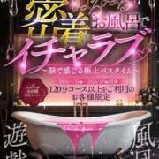 ヒメ日記 2026/03/08 08:17 投稿 みほ One More 奥様　五反田店