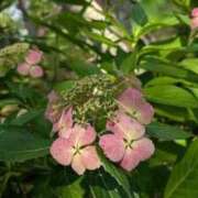 ヒメ日記 2025/10/04 10:23 投稿 わか 完熟ばなな 上野店