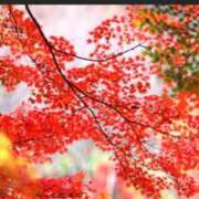 ヒメ日記 2025/10/21 07:00 投稿 わか 完熟ばなな 上野店