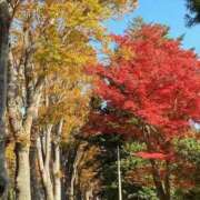 ヒメ日記 2025/11/21 10:54 投稿 わか 完熟ばなな 上野店