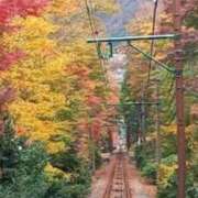 ヒメ日記 2025/12/05 10:54 投稿 わか 完熟ばなな 上野店