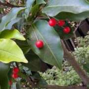 わか 出勤しましょん 完熟ばなな 上野店