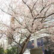 ヒメ日記 2026/01/13 07:46 投稿 わか 完熟ばなな 上野店