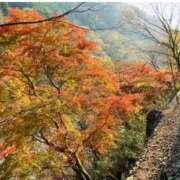 ヒメ日記 2026/01/14 08:46 投稿 わか 完熟ばなな 上野店