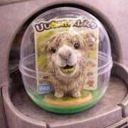 ヒメ日記 2026/01/28 09:36 投稿 わか 完熟ばなな 上野店