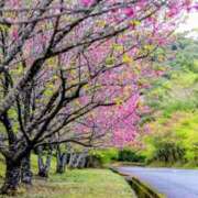 ヒメ日記 2026/03/03 08:26 投稿 わか 完熟ばなな 上野店