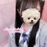 ヒメ日記 2025/12/16 23:50 投稿 しずく 学校帰りの妹に手コキしてもらった件 梅田