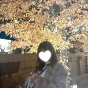 ヒメ日記 2025/11/08 22:26 投稿 さら 鹿鳴館