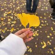 さら スクロール必須 鹿鳴館