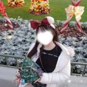 ヒメ日記 2025/12/12 14:36 投稿 さら 鹿鳴館