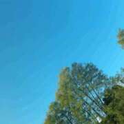 ヒメ日記 2025/11/14 08:01 投稿 薬師丸らん ABC 岩手ソープ