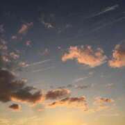 ヒメ日記 2025/11/24 16:46 投稿 薬師丸らん ABC 岩手ソープ