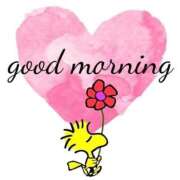 ヒメ日記 2025/12/17 07:31 投稿 薬師丸らん ABC 岩手ソープ