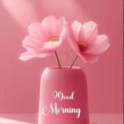 ヒメ日記 2025/12/23 07:16 投稿 薬師丸らん ABC 岩手ソープ