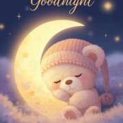 ヒメ日記 2025/12/29 23:31 投稿 薬師丸らん ABC 岩手ソープ