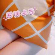 ヒメ日記 2026/02/01 07:46 投稿 薬師丸らん ABC 岩手ソープ