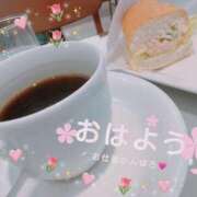 ヒメ日記 2026/03/28 10:16 投稿 薬師丸らん ABC 岩手ソープ