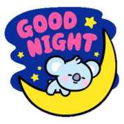 ヒメ日記 2026/03/29 21:46 投稿 薬師丸らん ABC 岩手ソープ