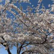 ヒメ日記 2026/04/19 21:31 投稿 薬師丸らん ABC 岩手ソープ