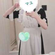 ヒメ日記 2025/10/08 09:04 投稿 マユお嬢様 M&m Maidとm男の夢物語。