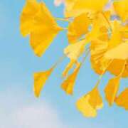 れの お待ちしてます?‬ オトナのハンドメイド