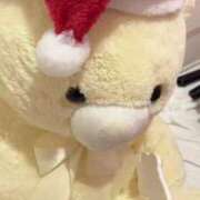 ヒメ日記 2025/12/15 16:03 投稿 める 新横浜ちゃんこ