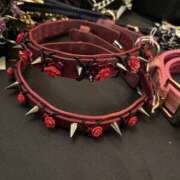 ヒメ日記 2025/12/30 14:03 投稿 める 新横浜ちゃんこ