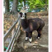 ヒメ日記 2025/10/06 16:45 投稿 雨宮あいね 信州無限GP 総合受付 諏訪店