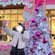 ヒメ日記 2025/10/26 10:00 投稿 キナコ RING