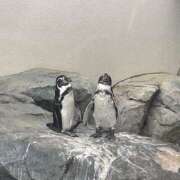 ヒメ日記 2025/10/20 08:32 投稿 みう 池袋しろパラ