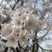 ヒメ日記 2026/04/01 20:21 投稿 みちる スピード難波店