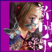 ヒメ日記 2026/01/07 00:55 投稿 水原　あゆむ ホットポイントヴィラ